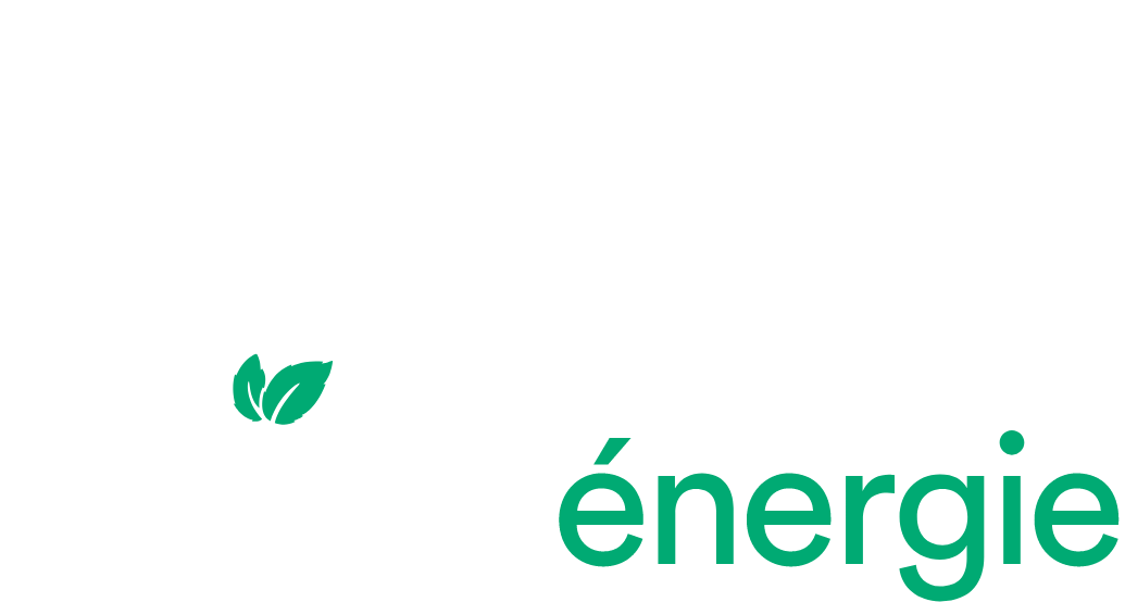 Partenariat Mint- Amazonia